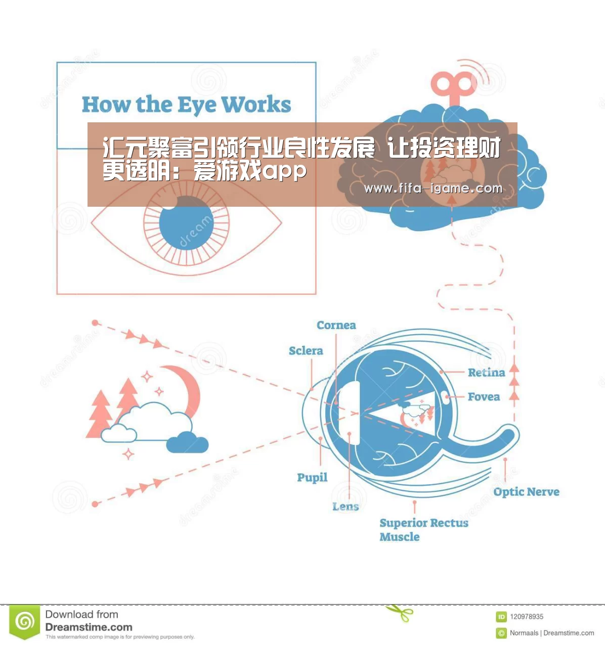 汇元聚富引领行业良性发展 让投资理财更透明:爱游戏app(图1) 爱游戏官网
