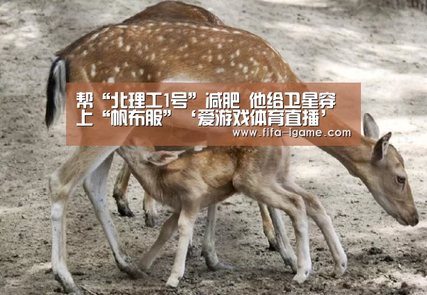 帮“北理工1号”减肥 他给卫星穿上“帆布服”‘爱游戏体育直播’(图2) ayx体育
