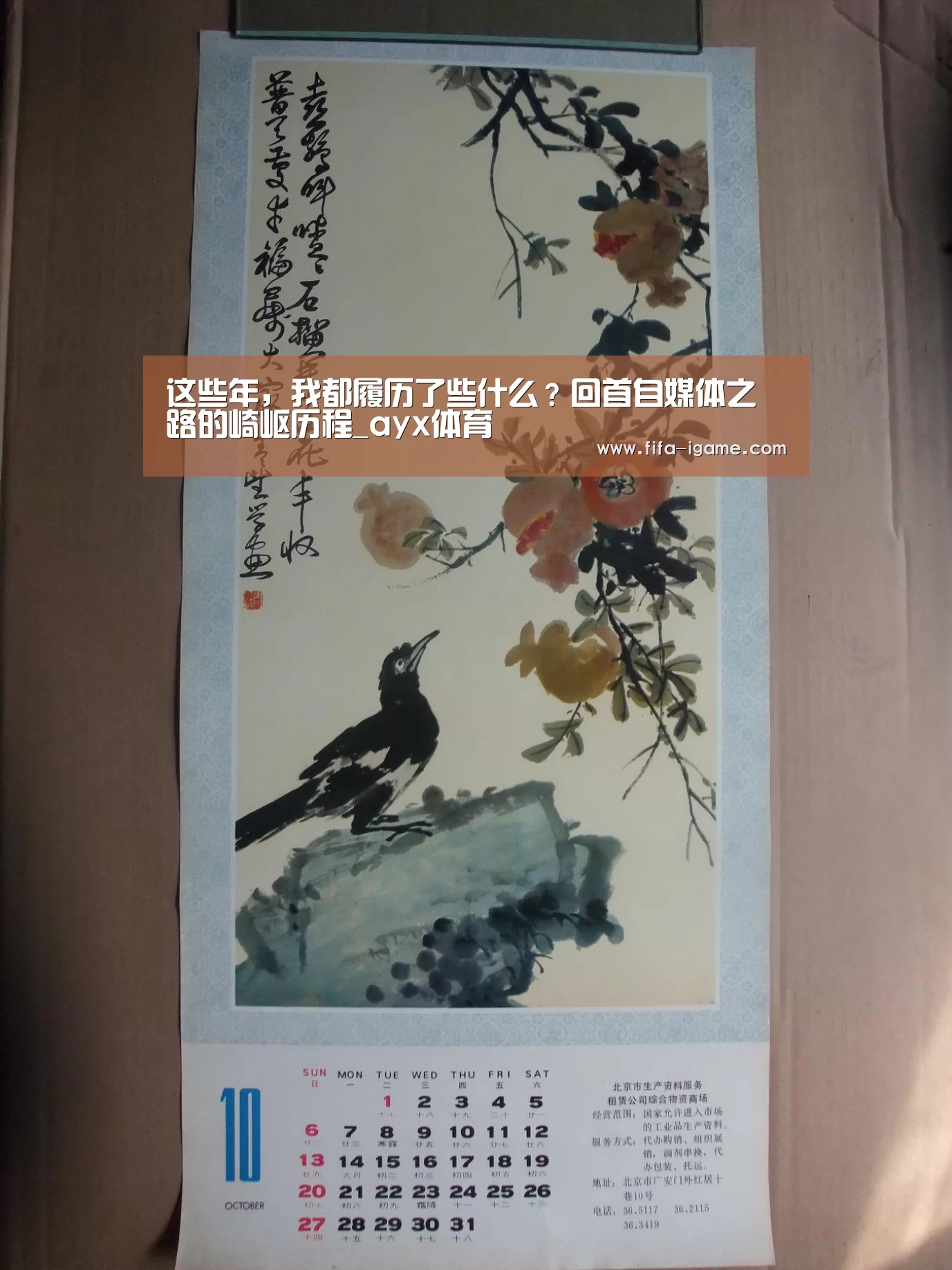 这些年,我都履历了些什么?回首自媒体之路的崎岖历程_ayx体育(图3) 爱游戏app