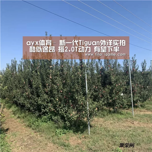ayx体育-
新一代Tiguan外洋实拍 酷似途昂 搭2.0T动力 有望下半年上市(图3) ayx体育