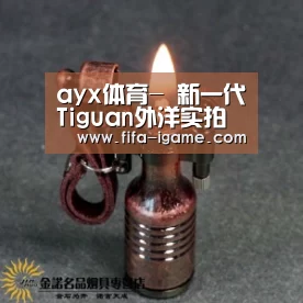 ayx体育-
新一代Tiguan外洋实拍 酷似途昂 搭2.0T动力 有望下半年上市(图4) 爱游戏官网