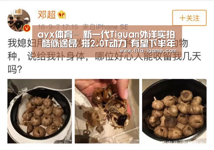 ayx体育-
新一代Tiguan外洋实拍 酷似途昂 搭2.0T动力 有望下半年上市(图2) 爱游戏app